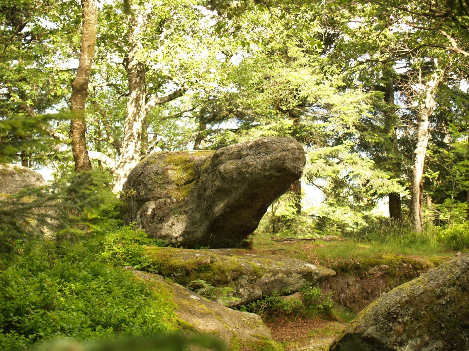 Visites et découvertes